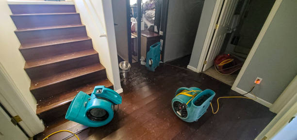 Best Water damage restoration mold remediation  in Tellico Plains, TN