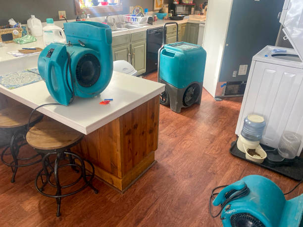 Best Water damage restoration services  in Tellico Plains, TN