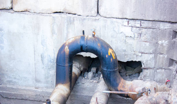 Best Commercial water damage restoration  in Tellico Plains, TN